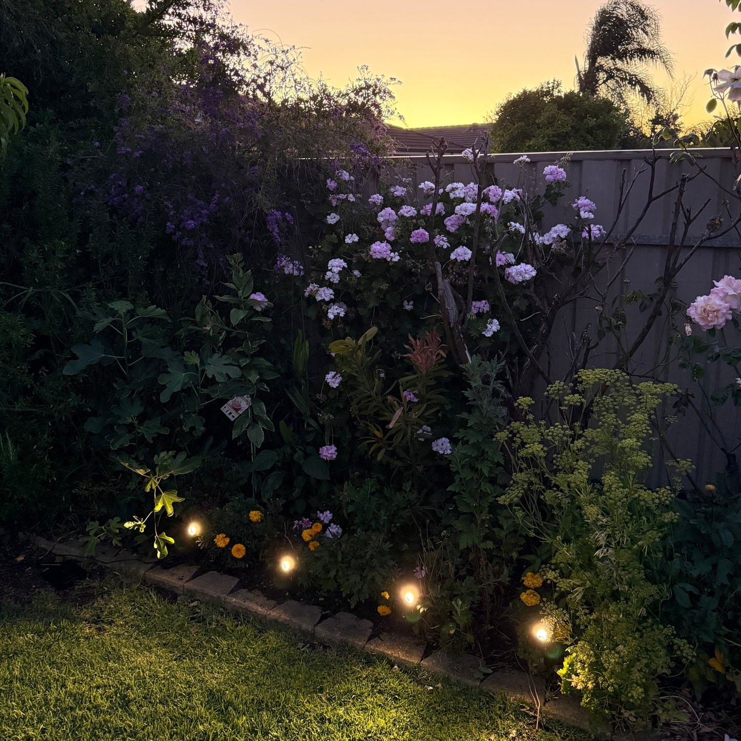 GardenBrite™ Solar Spotlight Pack